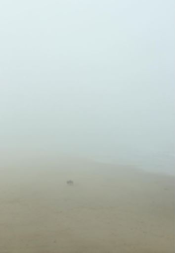 Lockdown Showcase 2 Newcastle College